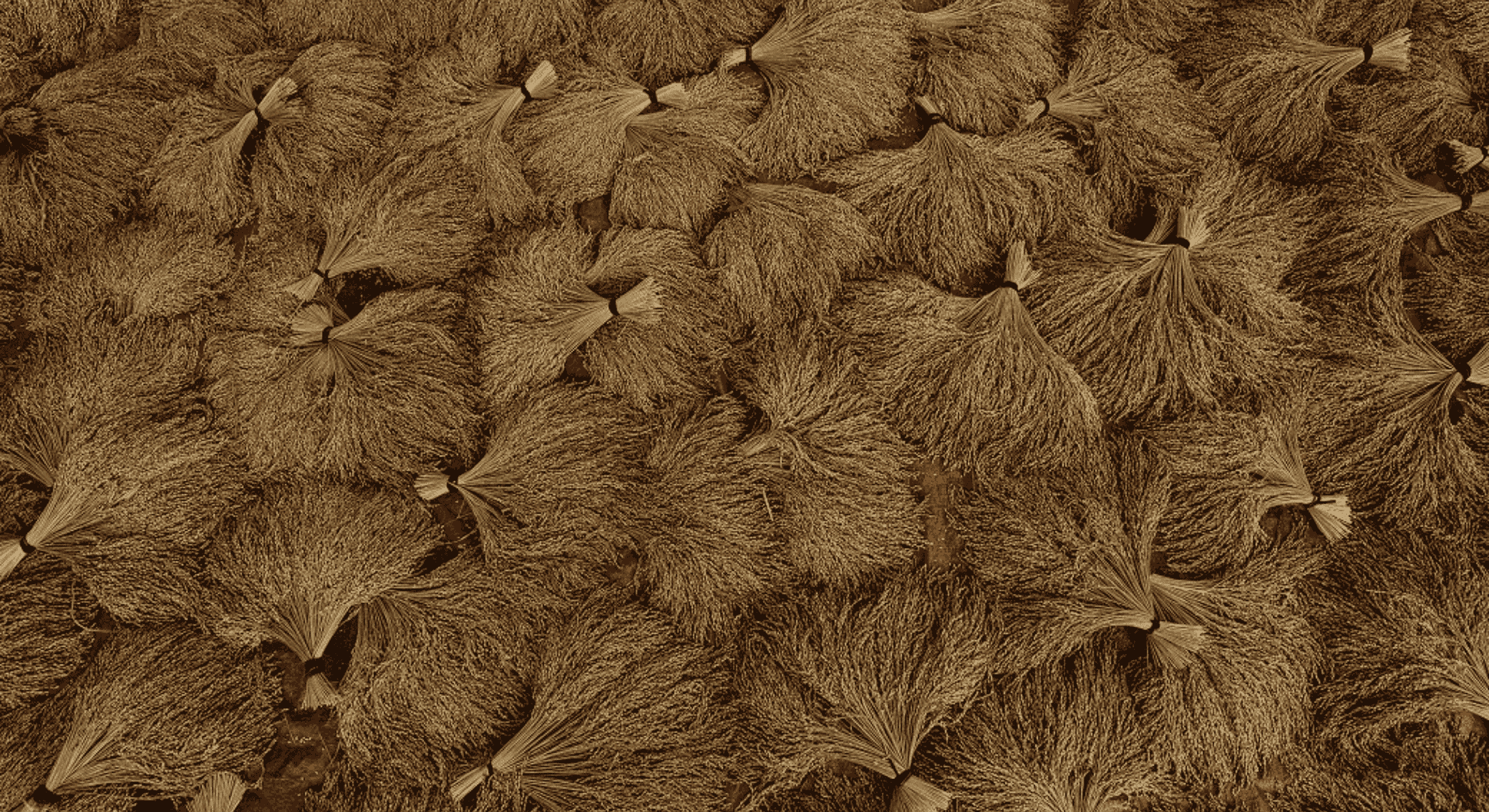 Thiết Kế Chưa Có Tên (2)