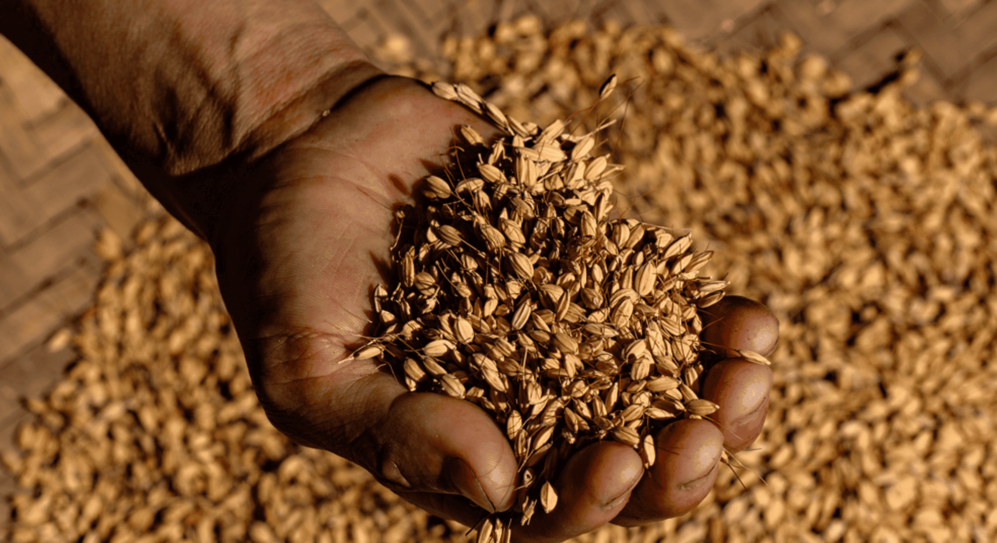 Thiết Kế Chưa Có Tên (3)