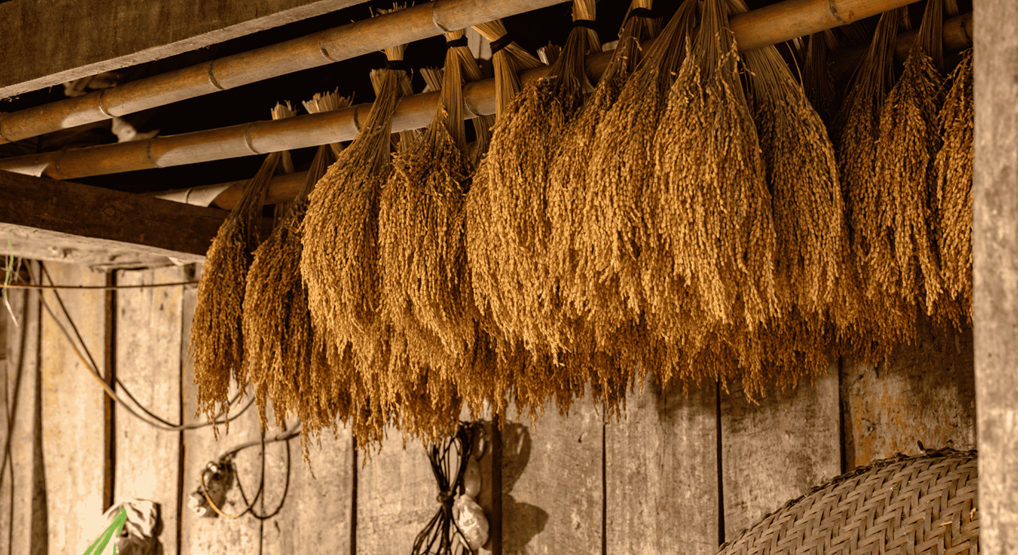 Thiết Kế Chưa Có Tên